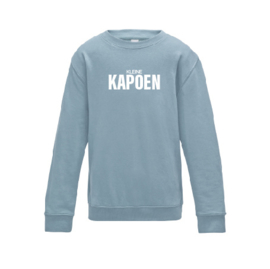 kids sweaters KLEINE KAPOEN