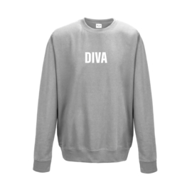 adult sweater  DIVA