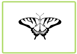 Vlinder sticker design 34