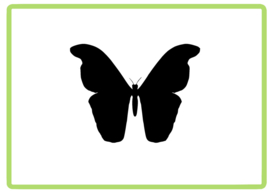 Vlinder sticker design 16