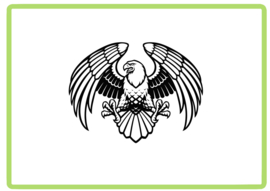 Adelaar sticker design 10