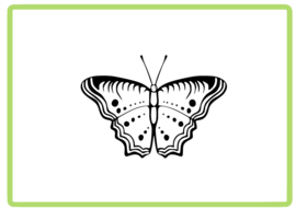 Vlinder sticker design 43