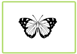 Vlinder sticker design 46