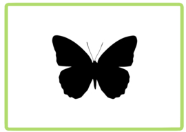 Vlinder sticker design 22