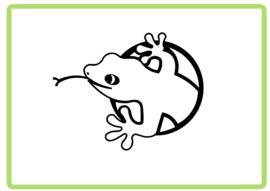Gekko sticker design 4