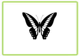 Vlinder sticker design 4