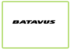 Batavus sticker