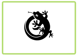 Gekko sticker design 5