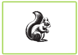 Eekhoorn sticker