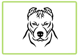 Pitbull sticker design 3