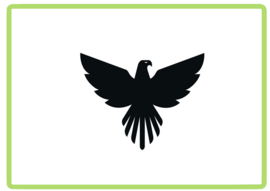 Adelaar sticker design 8