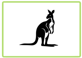 Kangaroo sticker