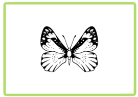 Vlinder sticker design 47