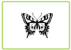 Vlinder sticker design 24