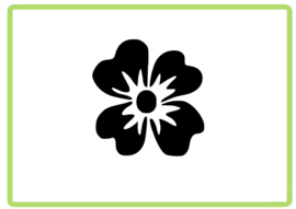 Bloem sticker design 34