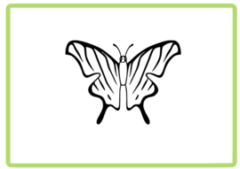Vlinder sticker design 36