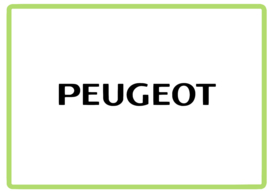Peugeot sticker