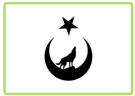 Bozkurt bayrak sticker design 2