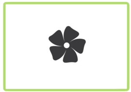 Bloem sticker design 44
