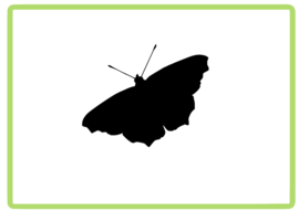 Vlinder sticker design 15