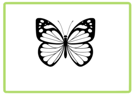 Vlinder sticker design 2