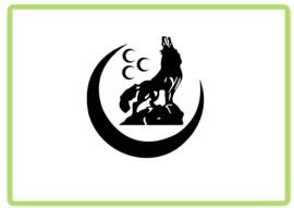 Uc hilal Bozkurt sticker