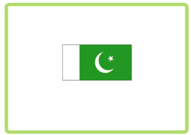 Pakistan vlag sticker
