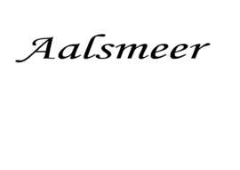 Aalsmeer  40 cm x 8 cm