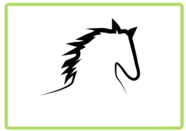 Paard sticker design 3