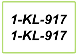 Boot registratie set van 2 stickers