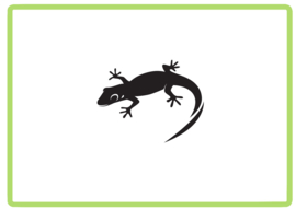 Gekko sticker design 2