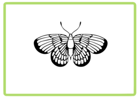 Vlinder sticker design 45
