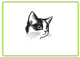 Kat sticker