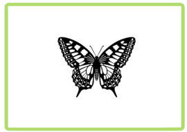 Vlinder sticker design 27