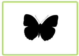 Vlinder sticker design 19