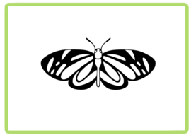 Vlinder sticker design 48