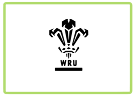 Wales WRU sticker