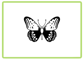 Vlinder sticker design 32