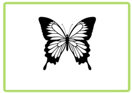 Vlinder sticker design 1