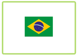 Brazilie vlag sticker