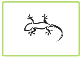 Gekko sticker design 3