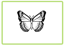 Vlinder sticker design 49