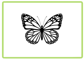 Vlinder sticker design 3