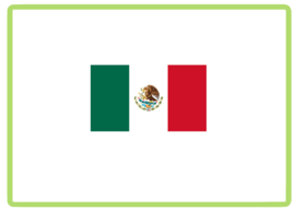 Mexico vlag sticker