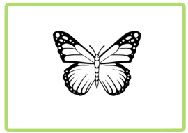 Vlinder sticker design 41