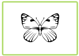 Vlinder sticker design 33