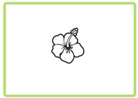 Bloem sticker design 56