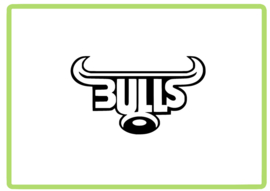 Bulls sticker
