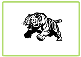 Tijger sticker design 1