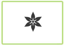Bloem sticker design 49